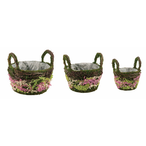 August Grove® 3 Piece Moss Basket Set Moss Basket Set Wayfair
